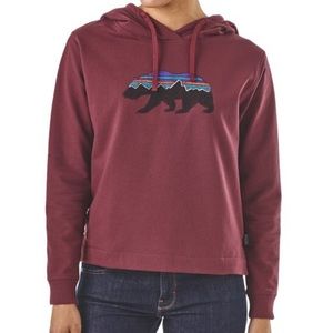 Patagonia Fitz Roy Bear Hoodie